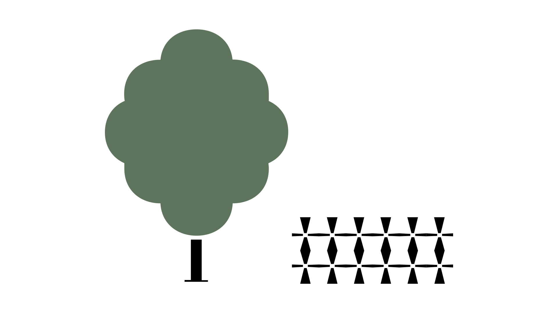 New Farm Park – Tree