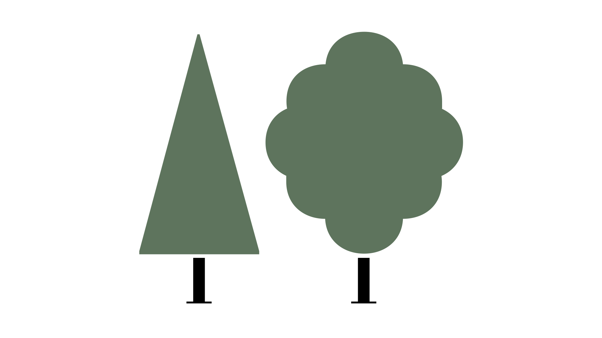 New Farm Park – Tree